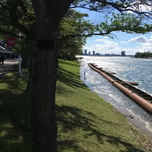 A boat by the lake